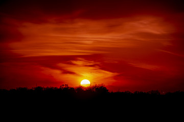 Fototapeta premium Nature being Observed