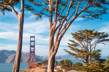 Fotobehang Golden Gate Bridge with cypress trees at Presidio Park, San Francisco, California, USA © JFL Photography