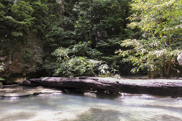 Naklejka premium A stream in the forest