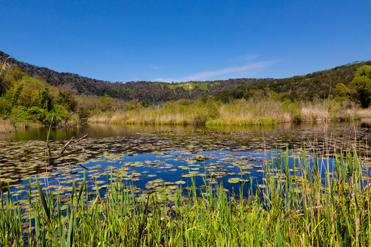 Naples (Italy) - The Cratere degli Astroni Nature Reserve is one of the few well-preserved craters of the whole Phlegraean fields