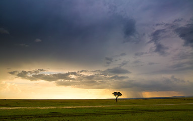 Naklejka na ściany i meble Landschaft mit dramatischen Regenwolken und Sonnenuntergang in Kenia