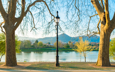 Two trees a ligh and a river