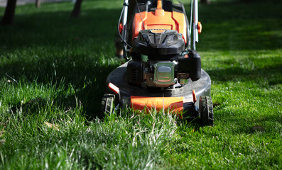 Detail of a lawn-mower outdoor