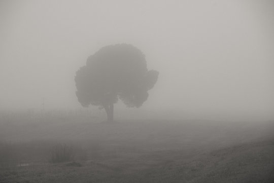 Tiempo en soledad
