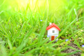 Fantasy concept of a housing. Fairy miniature house and nature. Miniature house in a green grass.