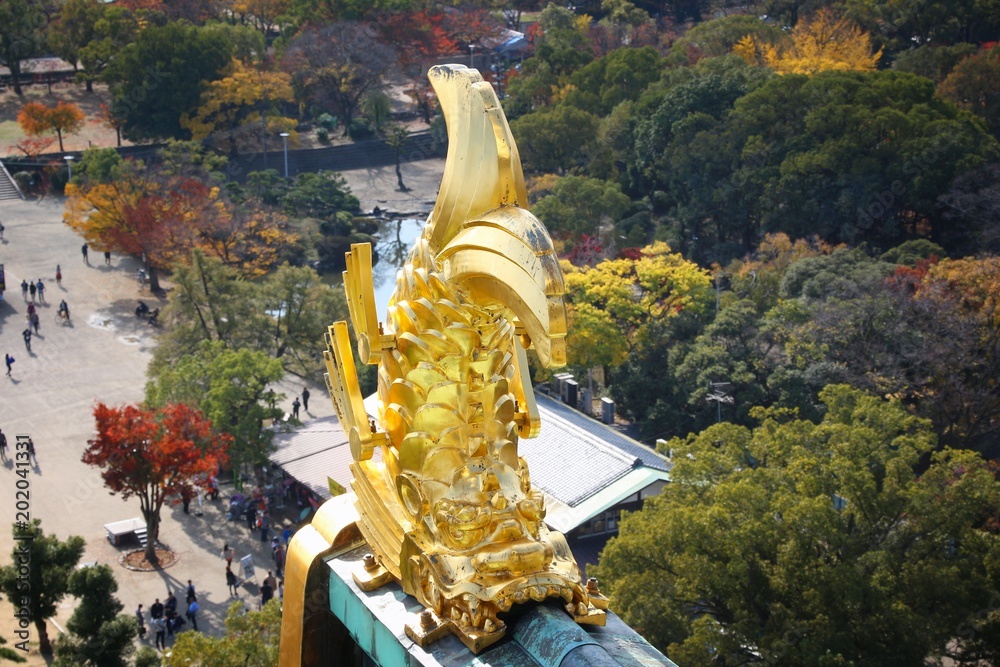 Wall mural Osaka Castle Fish