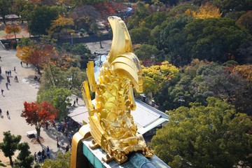 Obraz premium Osaka Castle Fish