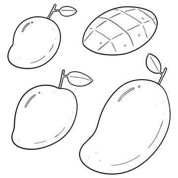vector set of mango