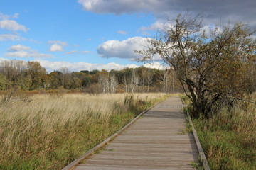 Obraz na płótnie Canvas Fall scenery at the nature center
