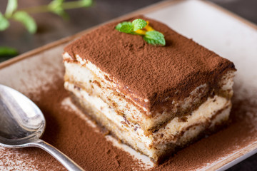 Tiramisu Cake Traditional Italian Dessert with Mascarpone Cheese and Espresso Coffee - 202044781
