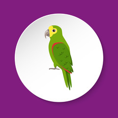 Amazon parrot icon in flat style