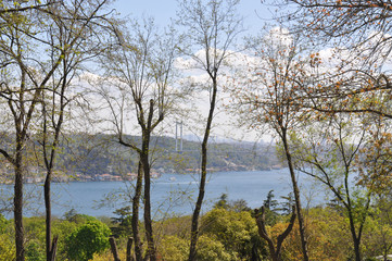 Aspect of the Bosphorus Istanbul Turkey