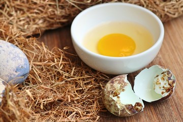 quail eggs in nest