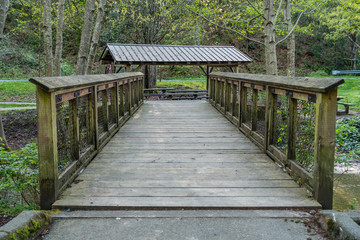 Walking Bridge Architecture 3