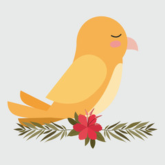 cute yellow bird in branch with flower vector illustration design