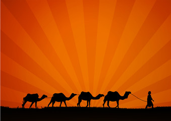 silhouettes of camels at sunset.