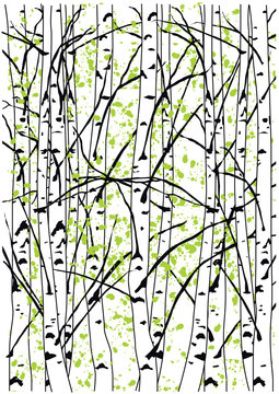 Beautiful sping birch tree forest. Simple vector illustration of spring birch trees.