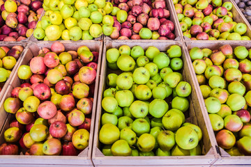 apples in boxes in the storefront
