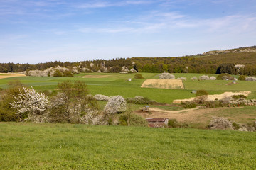 Naklejka premium view to rural ladscape in spring