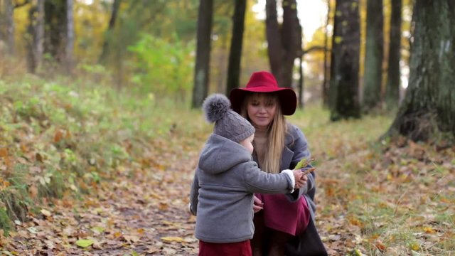 fashionable mom and daughter collect autumn leaves