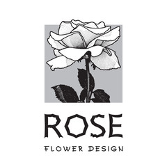 Rose-vector logo image.
Black and white graphic illustration of flowers clip art, pattern for floral design element for logo or template.