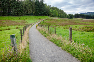 Public rights of way path through pasture in rural Scotland UK