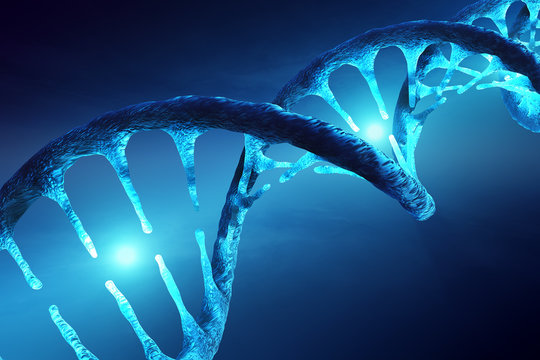 DNA structure illuminated