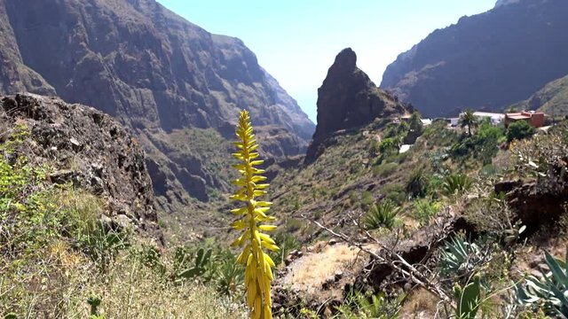 Village de Masca &agrave; Tenerife dans les &icirc;les Canaries