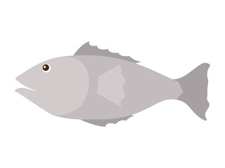 fish gray isolated icon vector illustration design