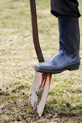 Gardening, foot on shovel.