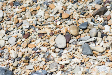 Stone on the beach at the sea.