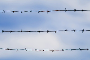 Barbed wire fencing on a sky background. Close up