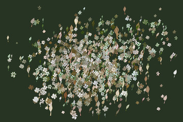 Illustrations of leaves & flowers. Color, wallpaper, digital & repeat.