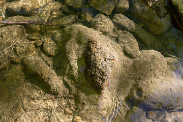 Obraz premium Steine im Fluss - Bach mit frischem Wasser 