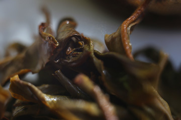 leaves of green tea macro