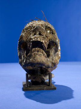 Prop skull on blue background