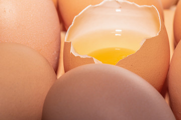 Chicken eggs
