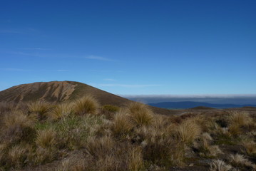 Fototapeta na wymiar Tongariro National Park - Tongariro Crossing New Zealand Northern Island