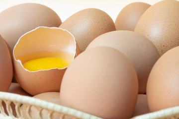 Chicken eggs isolate