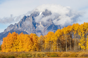 Fototapeta premium Scenic Autumn Landscape in the Tetons