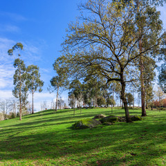 Fototapeta na wymiar Large green grass lawn, trees and granite boulders in Parque da Devesa Urban City Park. Vila Nova de Famalicao, Portugal