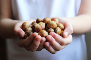 children's hands hold a hazel. Nuts in children's hands. useful snack. 