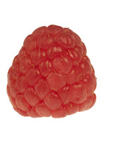 Raspberry on white background