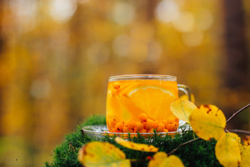 Orange and sea-buckthorn tea in a cup