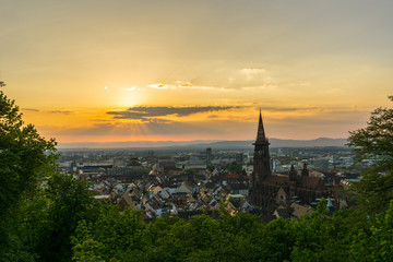 Germany, City Freiburg im Breisgau aerial view through green trees in warm sunset light