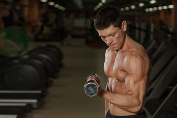 Fototapeta na wymiar Tanned muscular man workout with dumbbells in gym