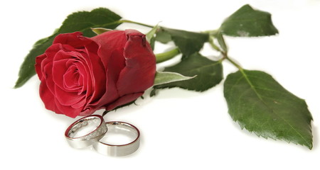 Eheringe mit roter Rose auf weißem Hintergrund