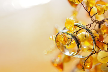 Wedding rings on a branch of a small decorative tree with leaves of amber.