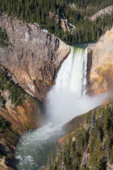 The Lower Falls of the Yellowstone River in Yellowstone National Park