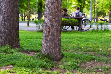 People in a city park
